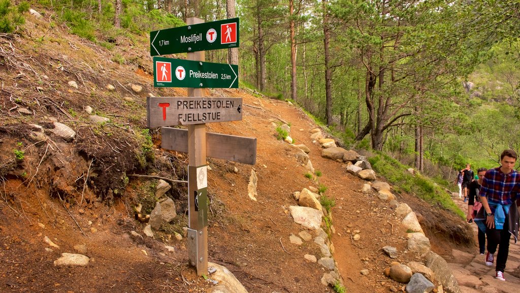 Preikestolen showing hiking or walking and signage