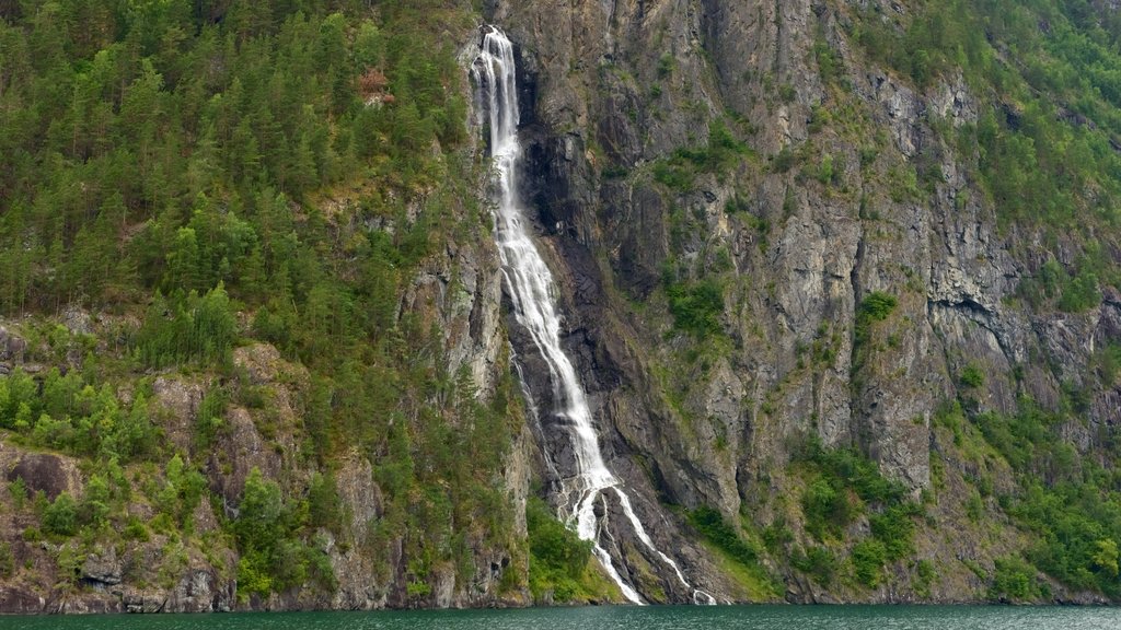 Naeroyfjord showing a waterfall