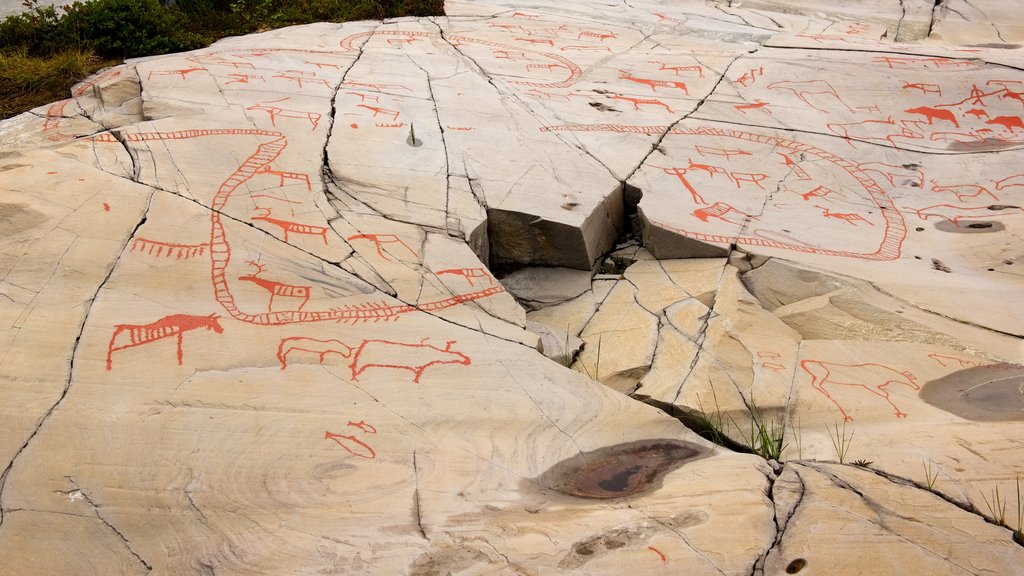 Alta Rock Carvings showing heritage elements