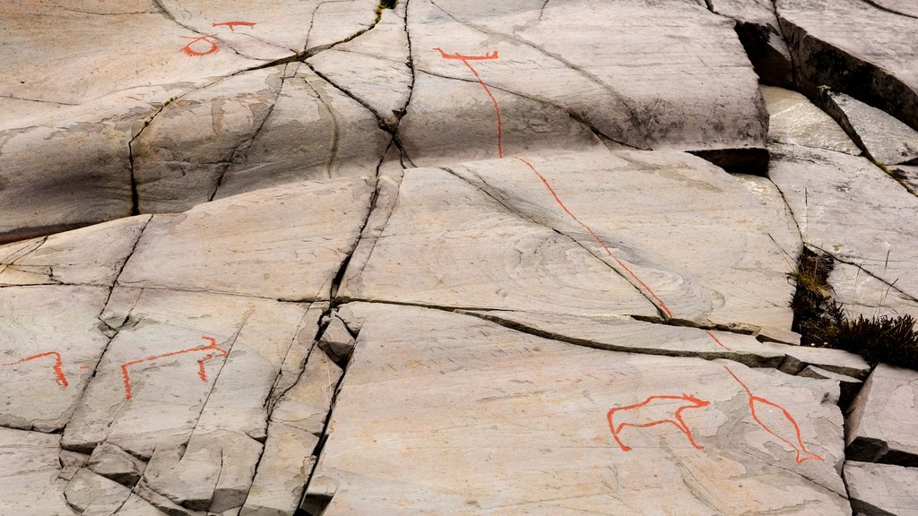 Alta Rock Carvings inclusief historisch erfgoed