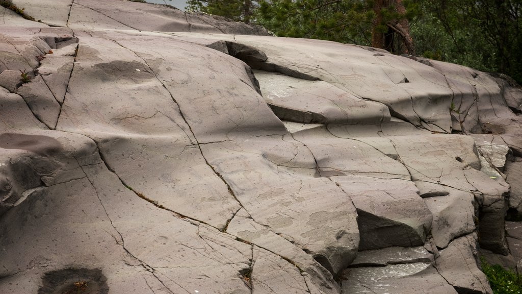 Alta Rock Carvings