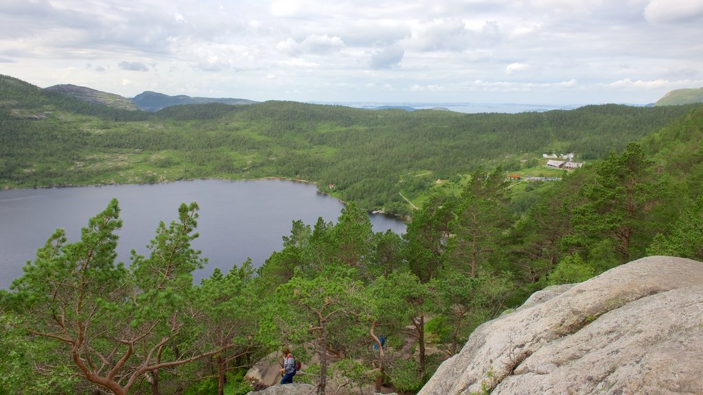 Preikestolen mostrando un lago o espejo de agua y imágenes de bosques