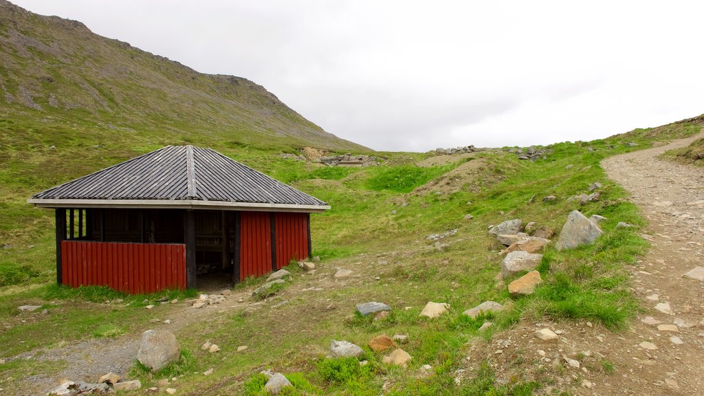 Honningsvåg mettant en vedette scènes tranquilles