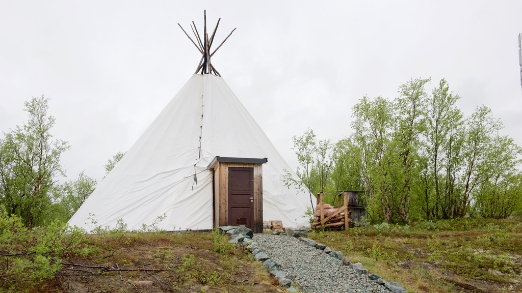 Kautokeino showing tranquil scenes