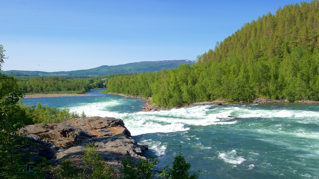 Cascada de Maalselvfossen ofreciendo rápidos y bosques