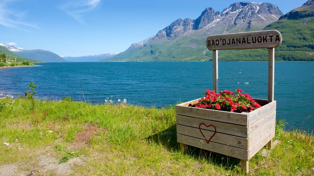 Målselvfossen Vandfald som viser bjerge og en sø eller et vandhul