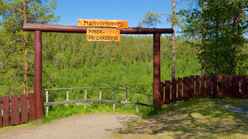 Maalselvfossen Waterfall featuring signage and forest scenes