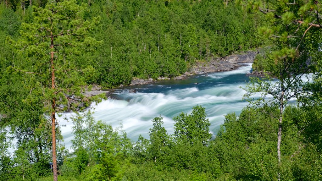 Maalselvfossens vattenfall