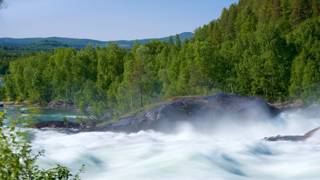 Maalselvfossen Waterfall showing rapids and forests