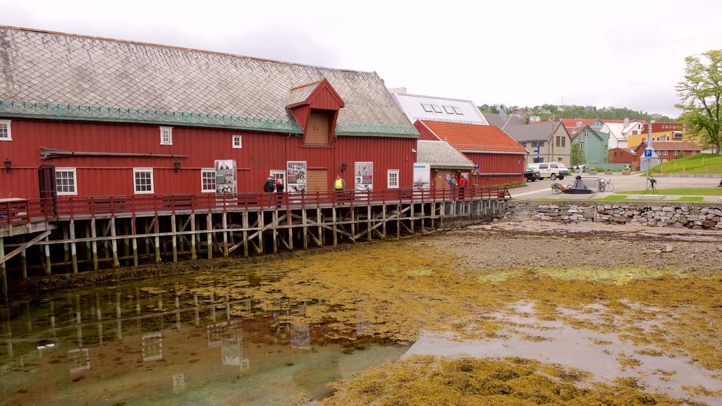 Polar Museum which includes a small town or village