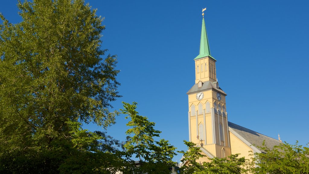 Tromso Cathedral which includes a church or cathedral, heritage elements and religious elements