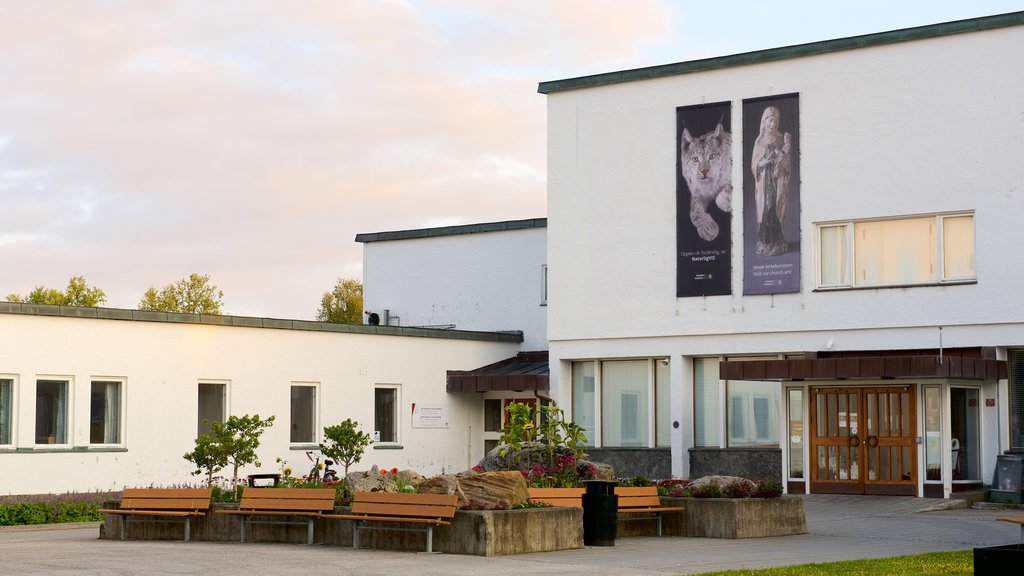 Tromso University Museum featuring signage