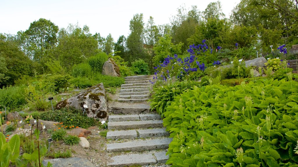 Polar-Alpine Botanical Gardens showing a garden and flowers