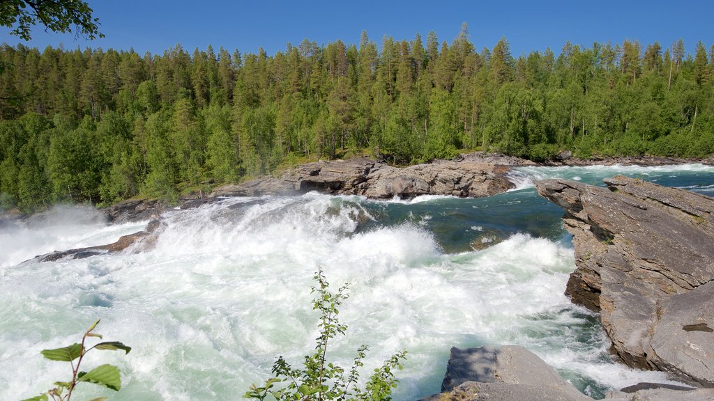 Maalselvfossen Waterfall which includes rapids