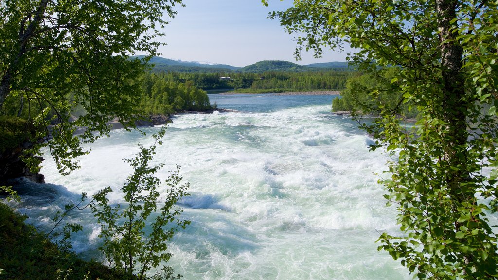 Maalselvfossen Waterfall featuring rapids