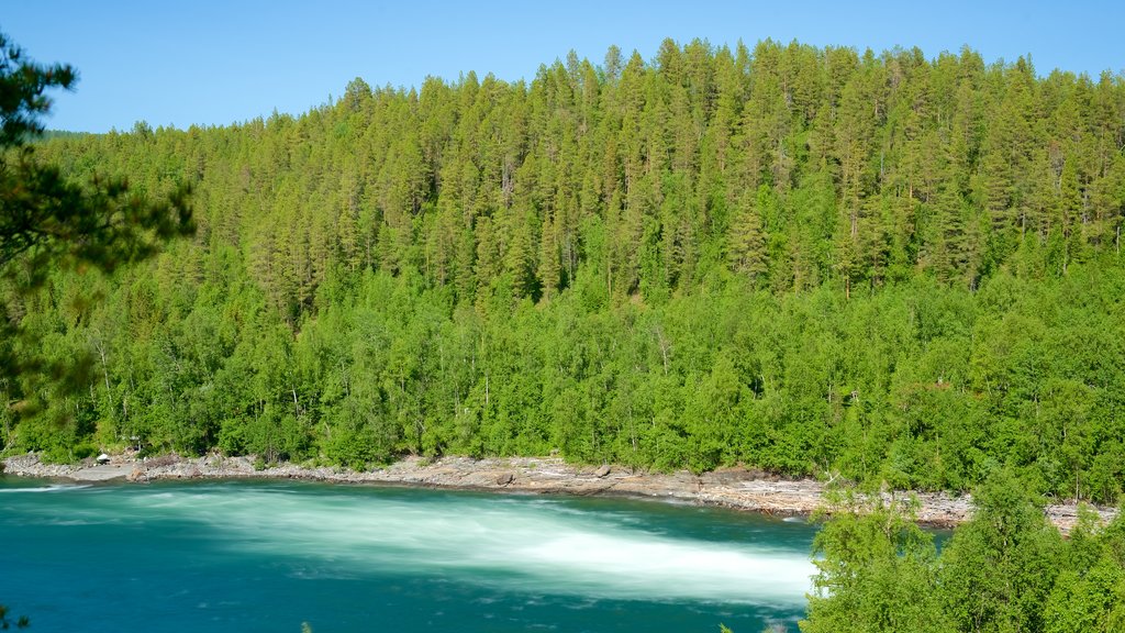 Maalselvfossen-waterval toont bossen