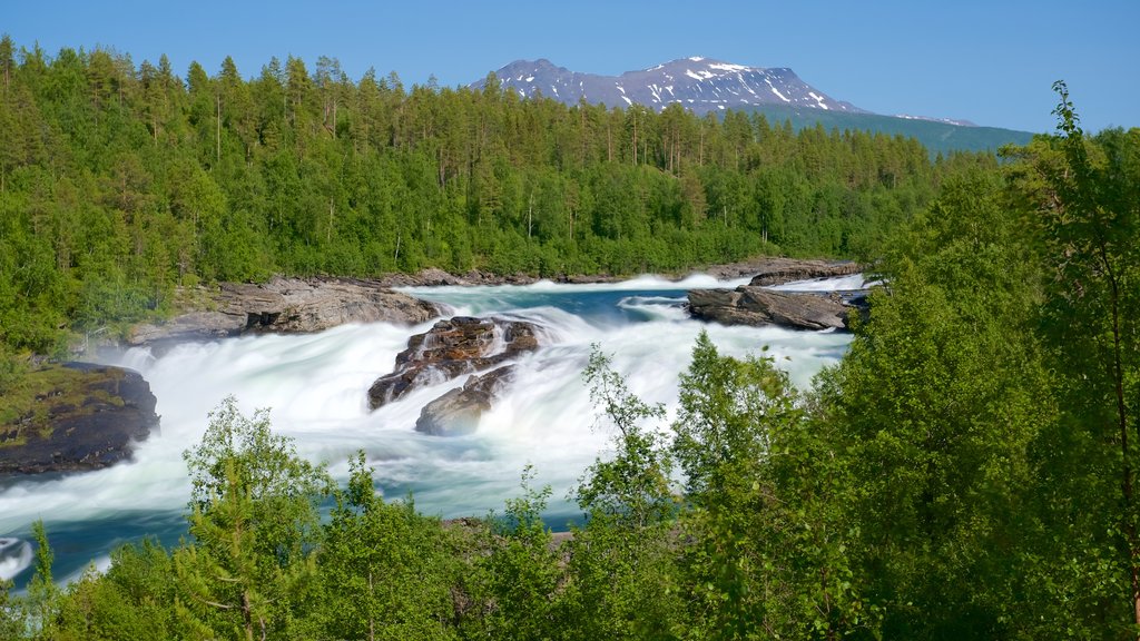 Cascada de Maalselvfossen ofreciendo bosques y rápidos