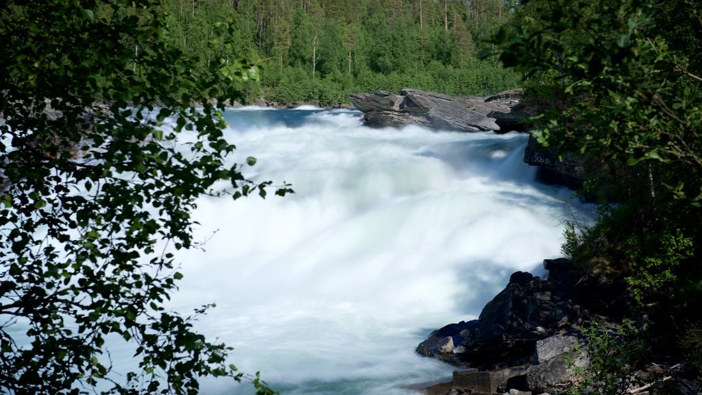 Maalselvfossens vattenfall som inkluderar forsar