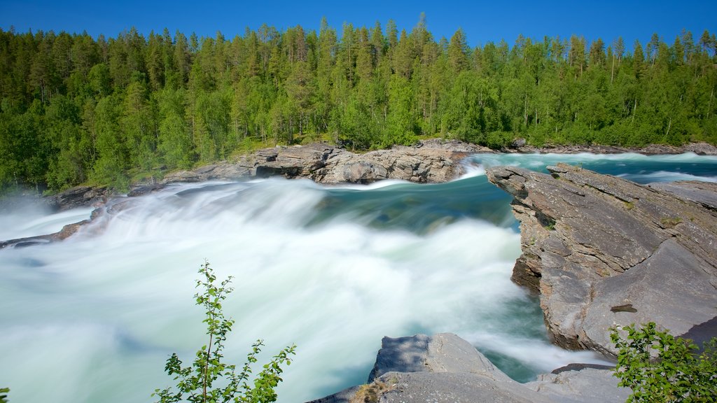 Maalselvfossen Waterfall showing forests and rapids