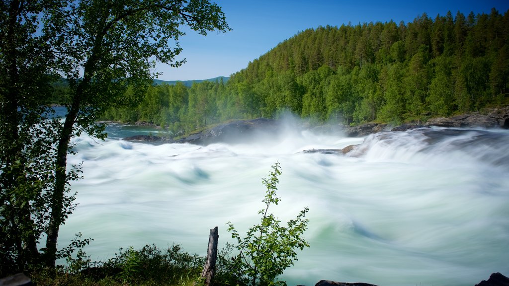 Maalselvfossens vattenfall som inkluderar skogar och forsar