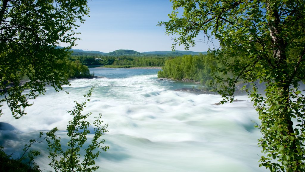 Maalselvfossen Waterfall which includes rapids