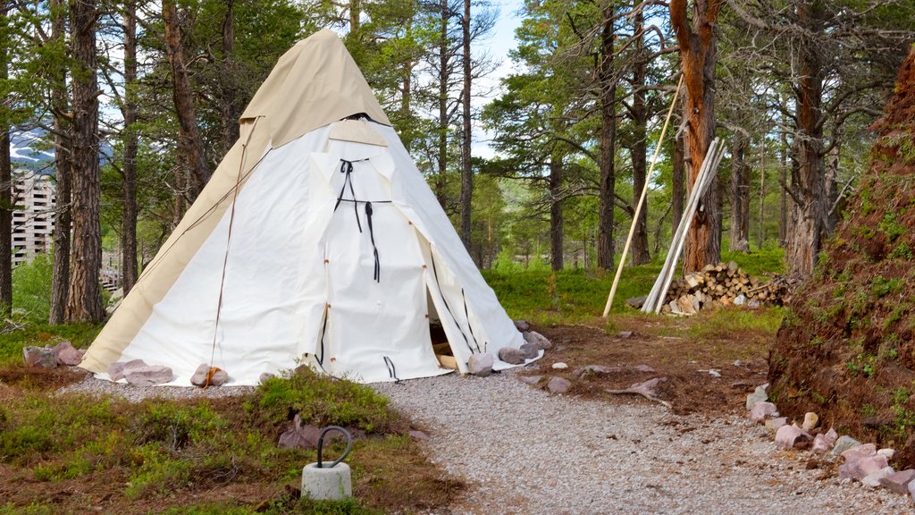 Stora Sjofallet National Park which includes camping