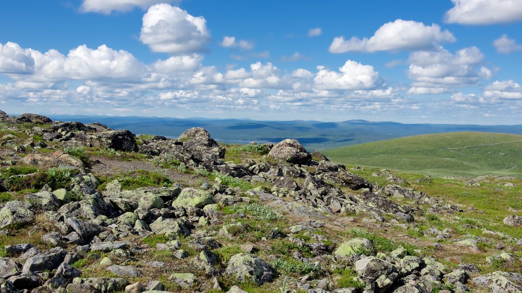 Mount Dundret showing landscape views