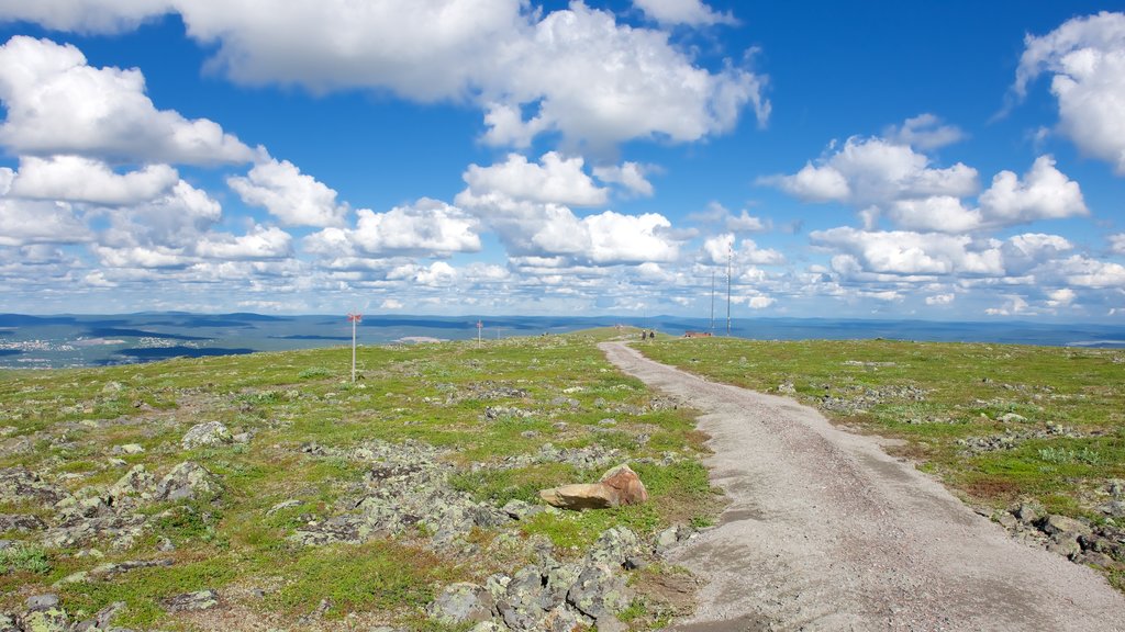 Mount Dundret featuring landscape views