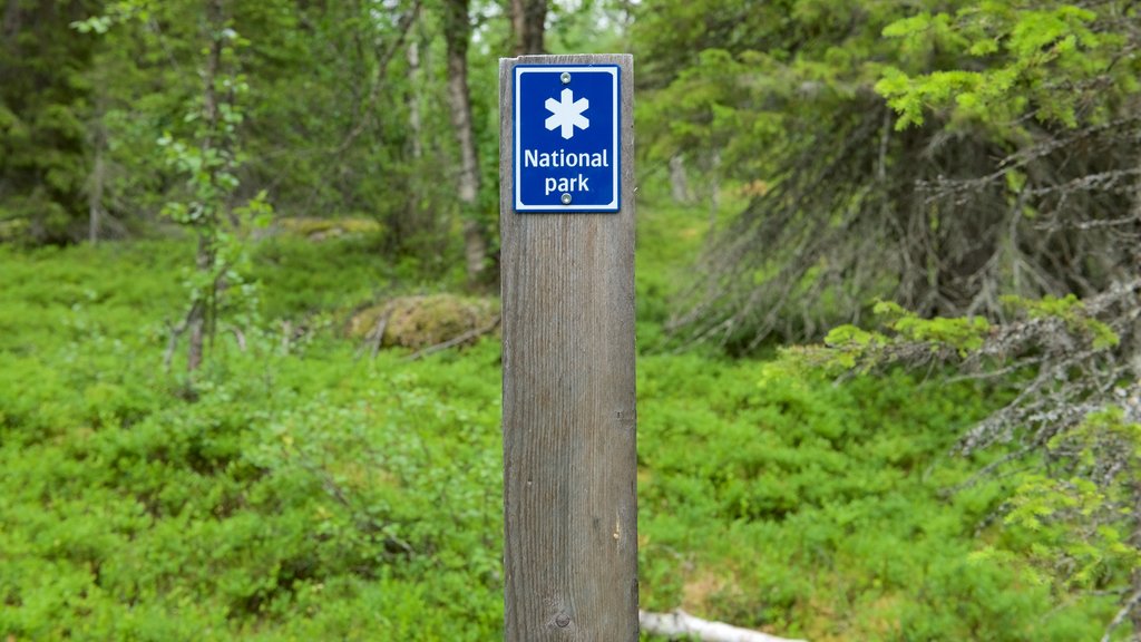 Muddus National Park featuring forests and signage