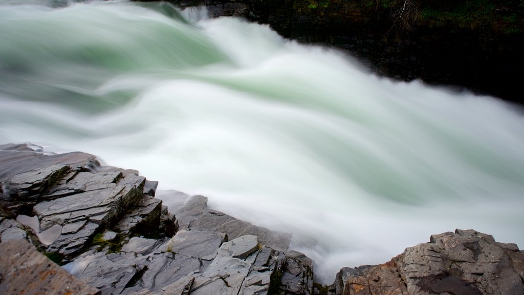 Abisko National Park showing rapids