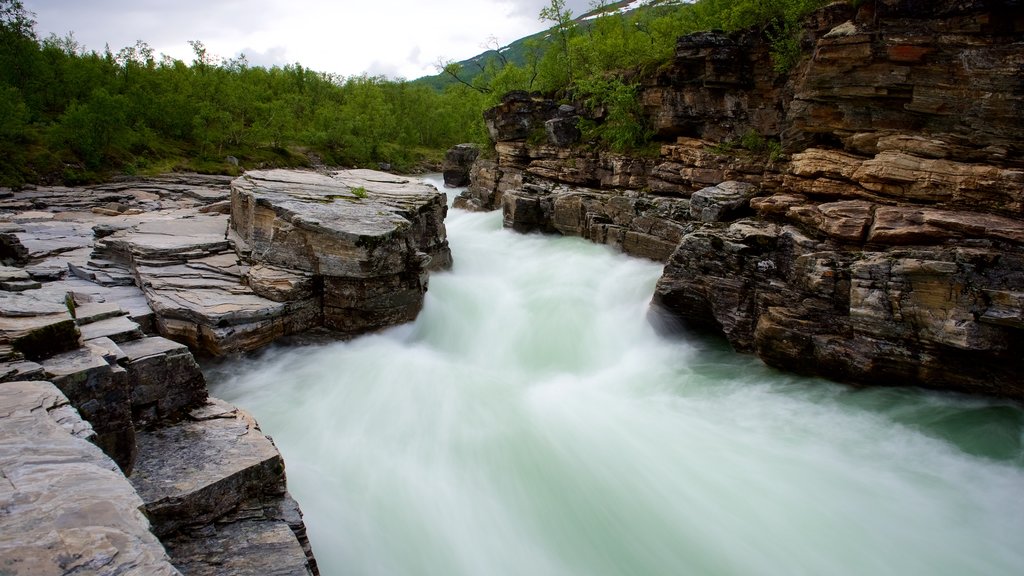 Taman Nasional Abisko menunjukkan jeram