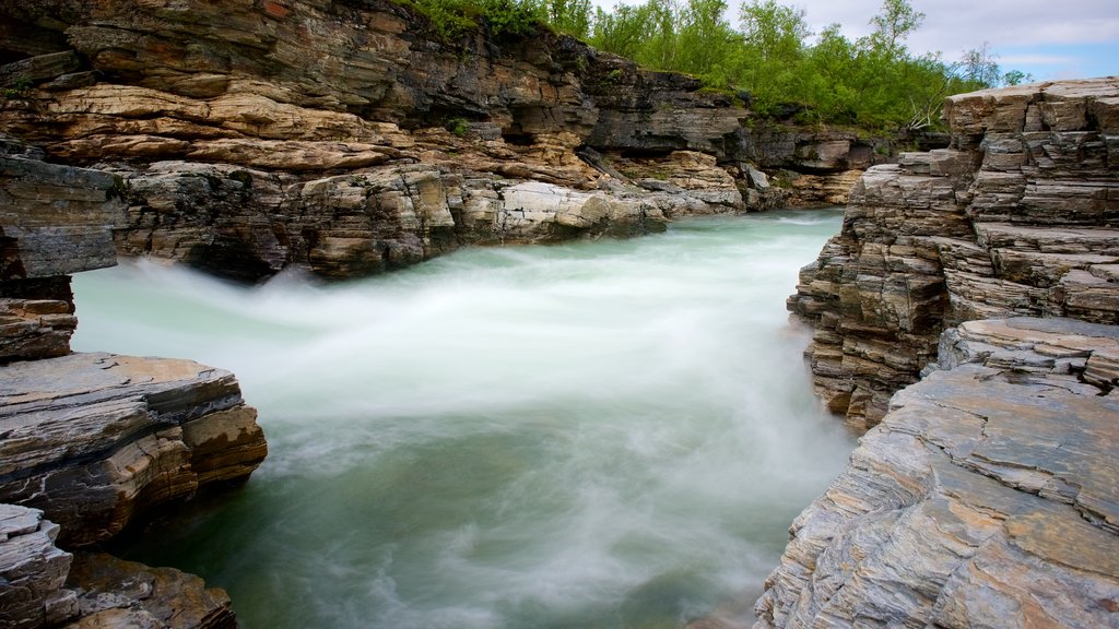 Abisko Nationalpark som viser strømfald