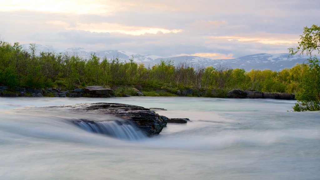 Abisko National Park showing rapids