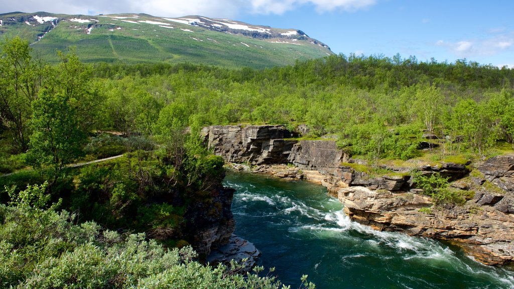 Parque Nacional de Abisko que incluye escenas forestales y un río o arroyo