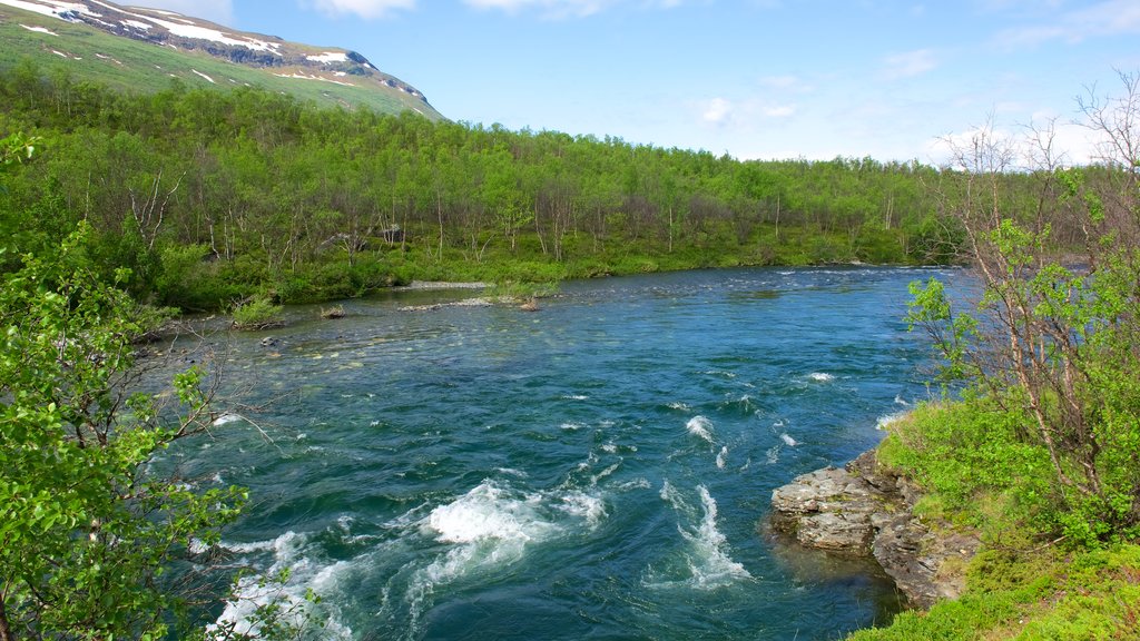 Abisko National Park showing a river or creek and forests