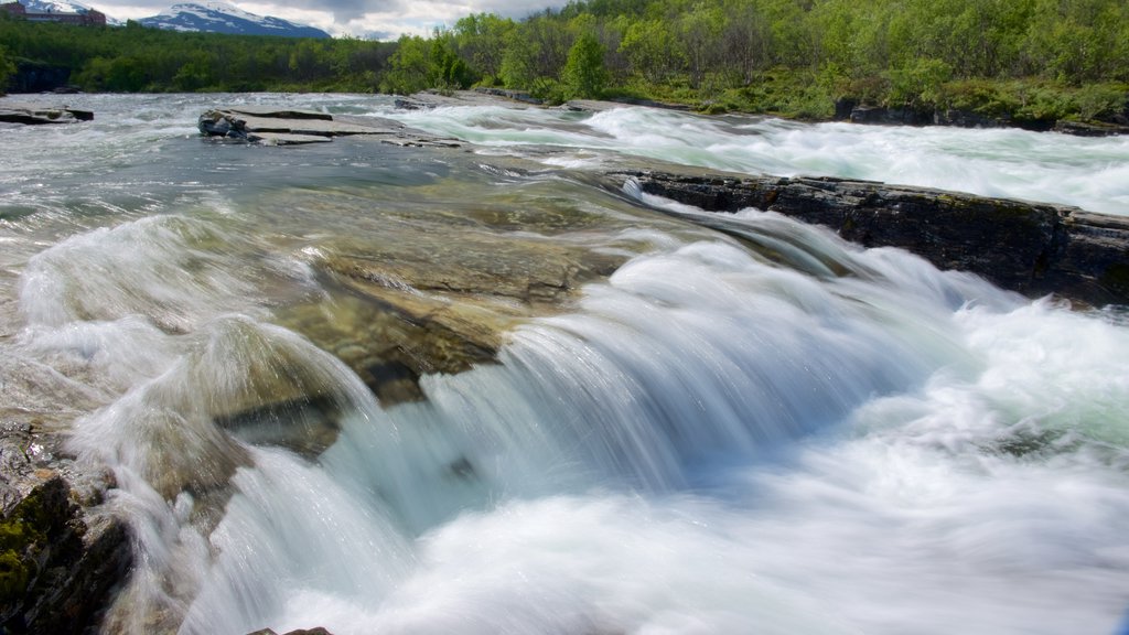 Nationaal Park Abisko toont stroomversnellingen