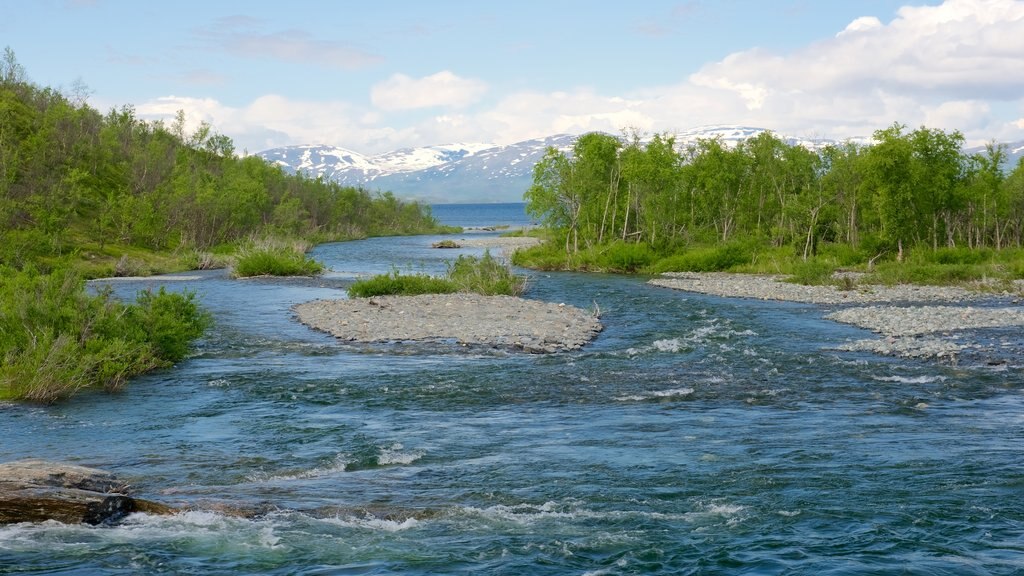 Abisko Nationalpark som omfatter en flod eller et vandløb