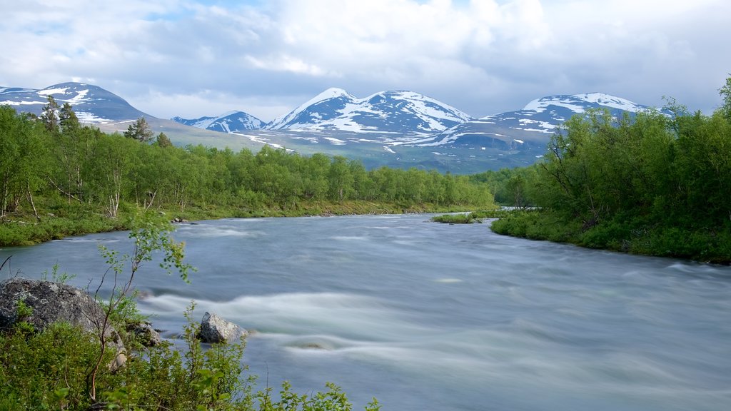 Parque Nacional de Abisko caracterizando um rio ou córrego e cenas de floresta