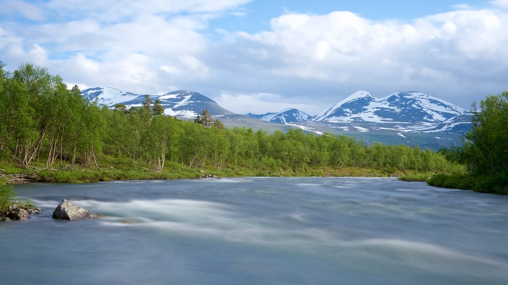 Abisko National Park featuring a river or creek and forest scenes