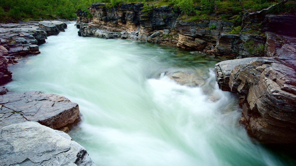 อุทยานแห่งชาติ Abisko แสดง กระแสน้ำไหลเชี่ยว