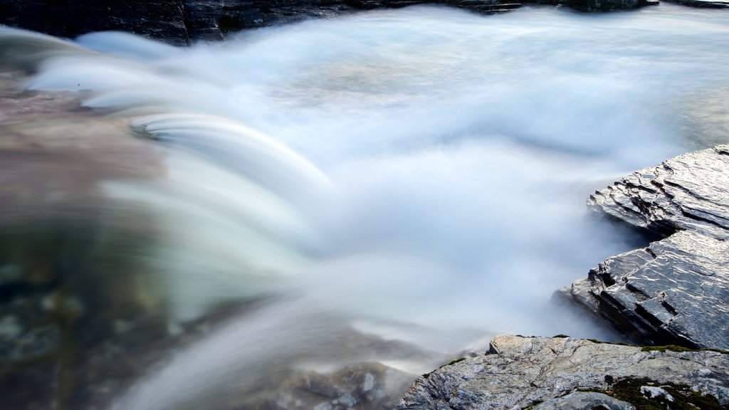 Abisko Nationalpark som viser strømfald