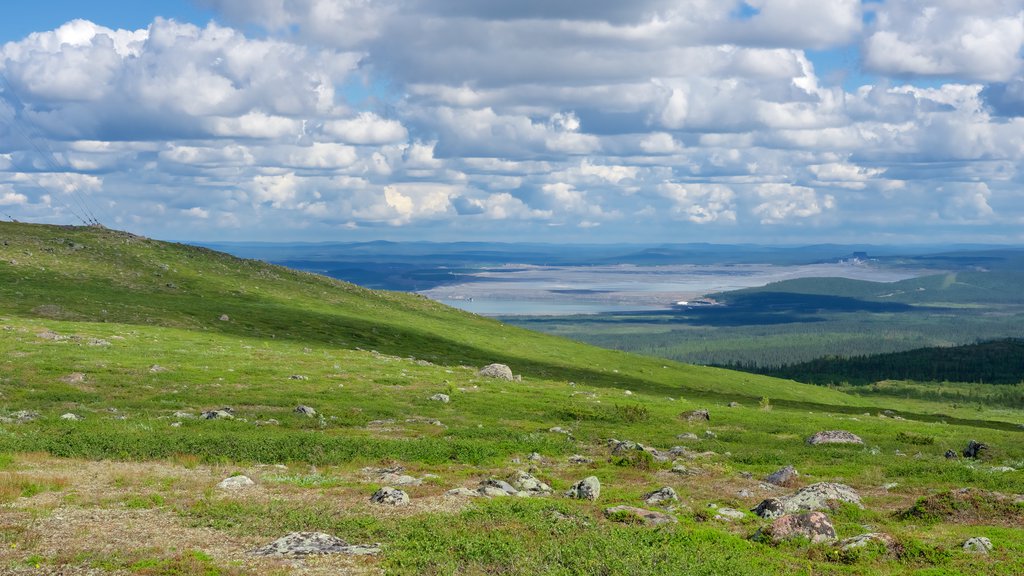 Mount Dundret som omfatter fredfyldte omgivelser og udsigt over landskaber