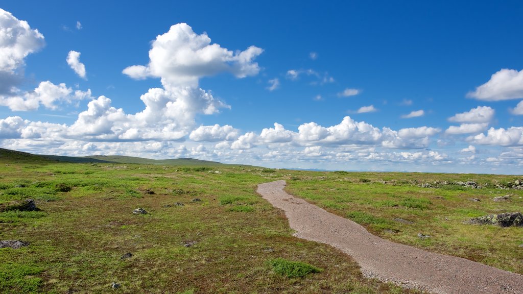 Mount Dundret which includes landscape views and tranquil scenes