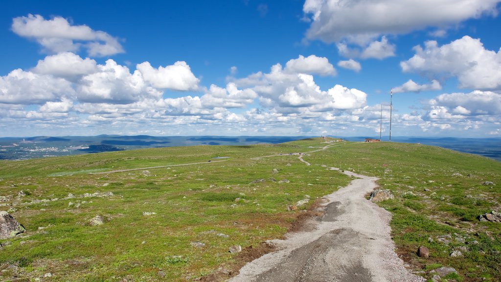 Mount Dundret which includes landscape views and tranquil scenes