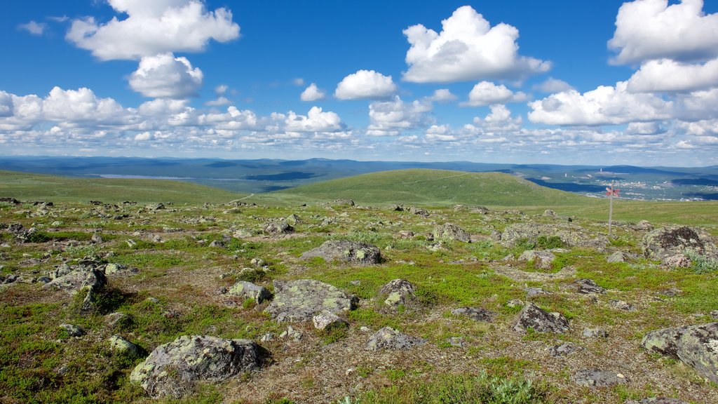 Mount Dundret which includes landscape views and tranquil scenes