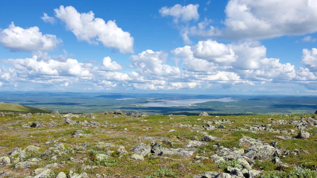 Mount Dundret which includes tranquil scenes and landscape views