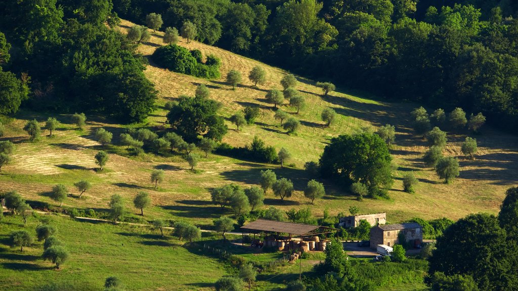 Bagnoregio