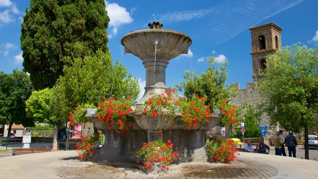 Vitorchiano mostrando una fuente y flores