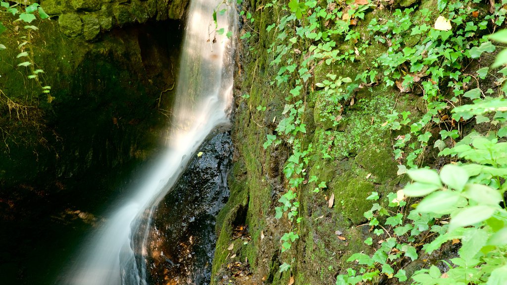 Parco dei Mostri showing a cascade