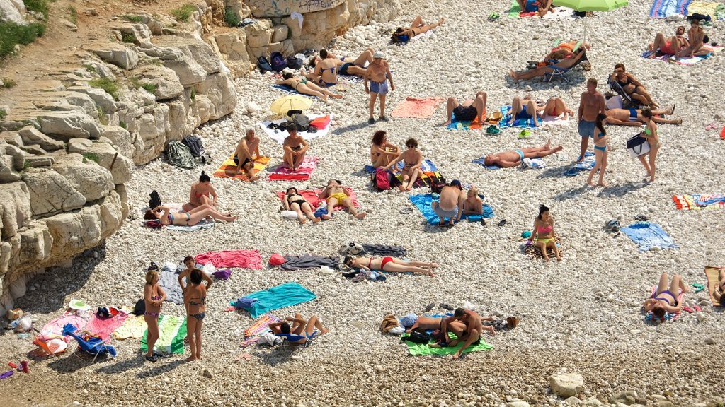 Polignano a Mare mostrando uma praia de pedras assim como um grande grupo de pessoas